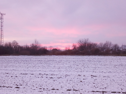pic