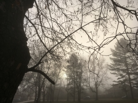 pic