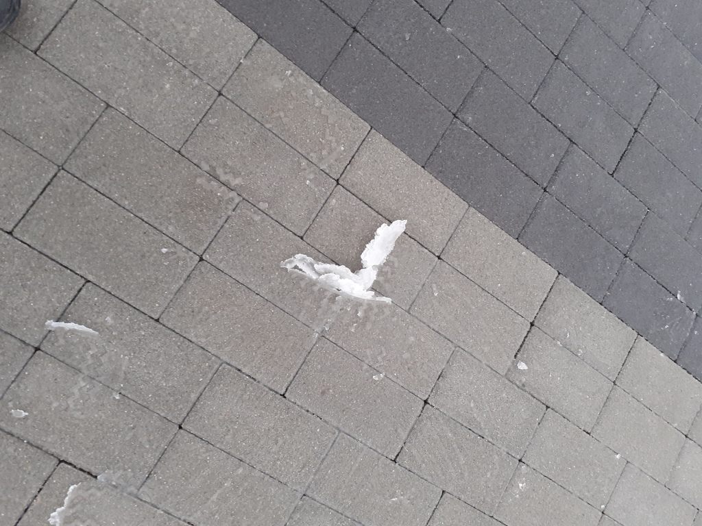 beillesztett kép