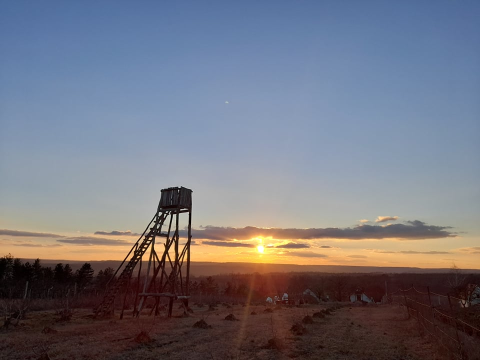pic