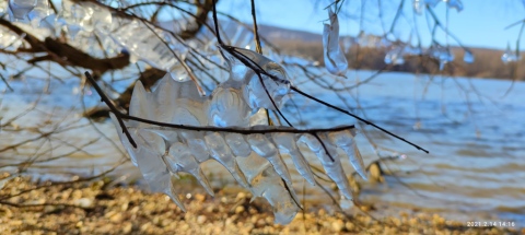 pic