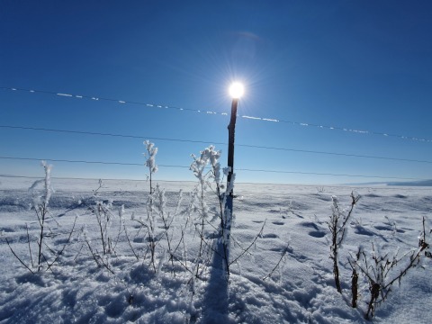 pic