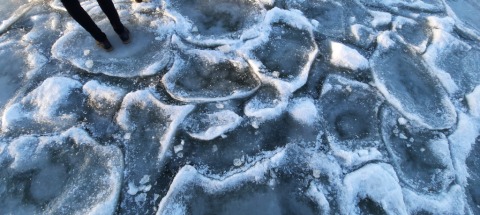 pic