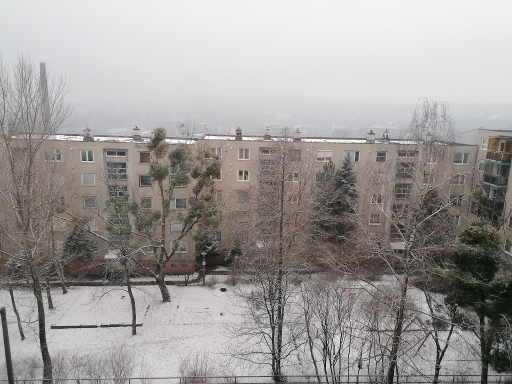 beillesztett kép