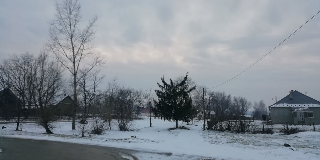 beillesztett kép