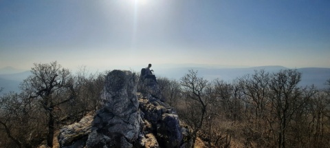 pic