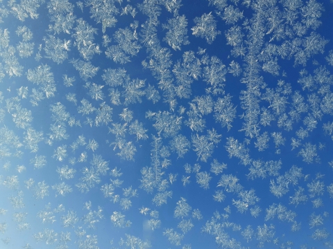 pic