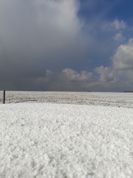 pic