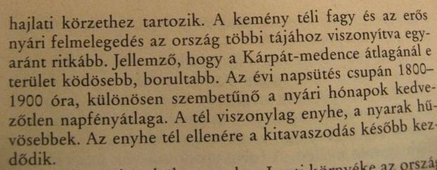 beillesztett kép