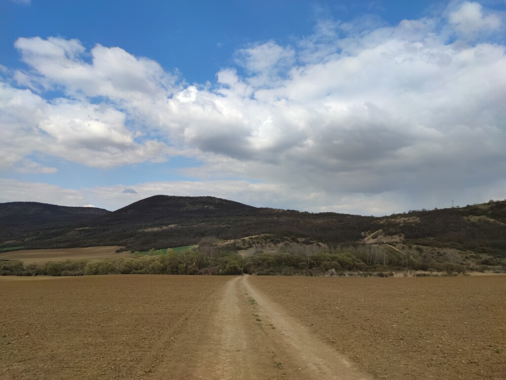 beillesztett kép