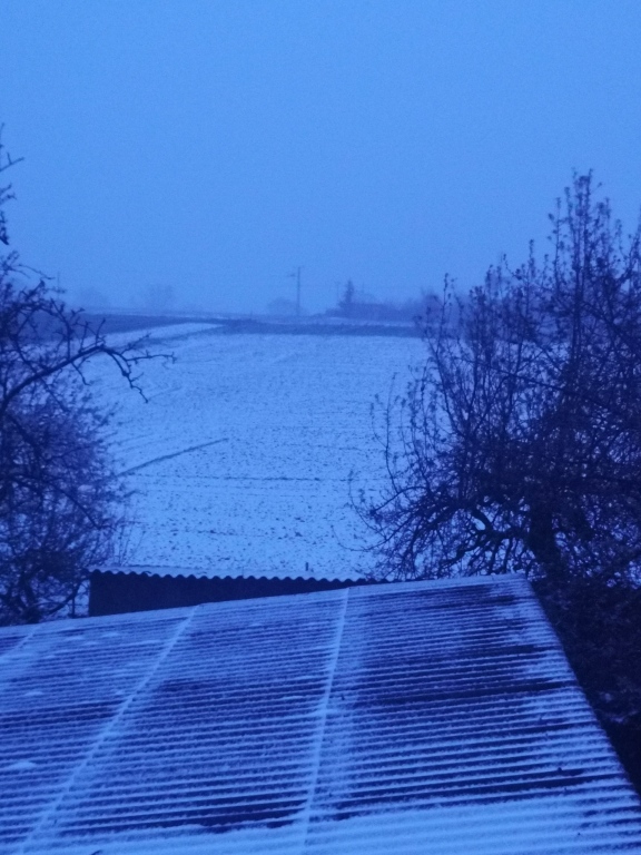 beillesztett kép