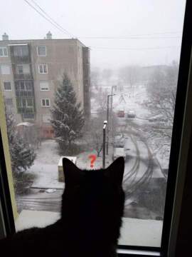 pic