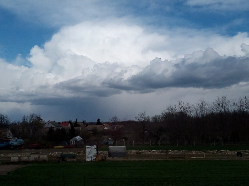 beillesztett kép