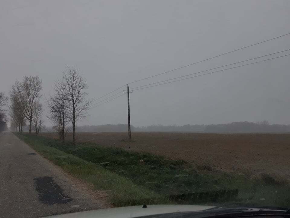 beillesztett kép