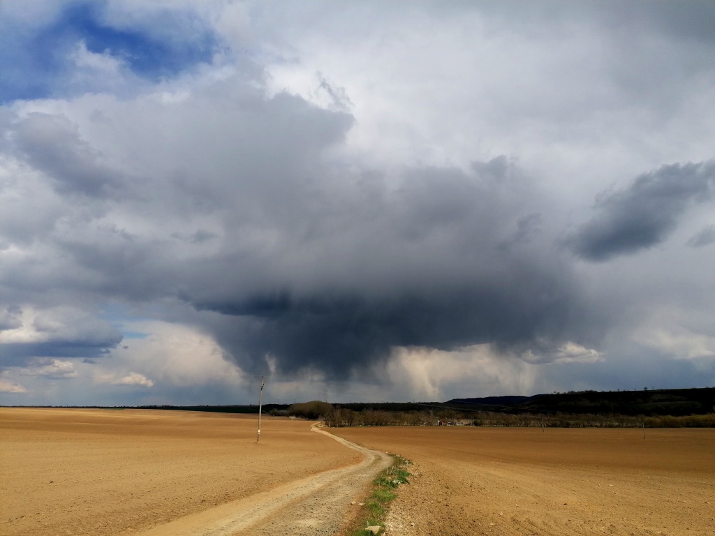 beillesztett kép