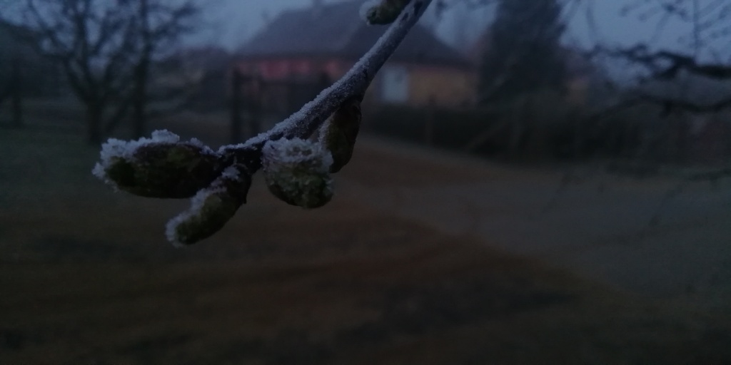 beillesztett kép