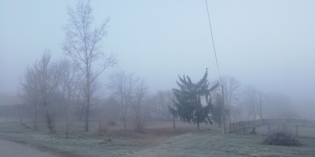 beillesztett kép