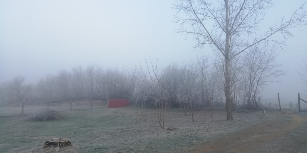 beillesztett kép