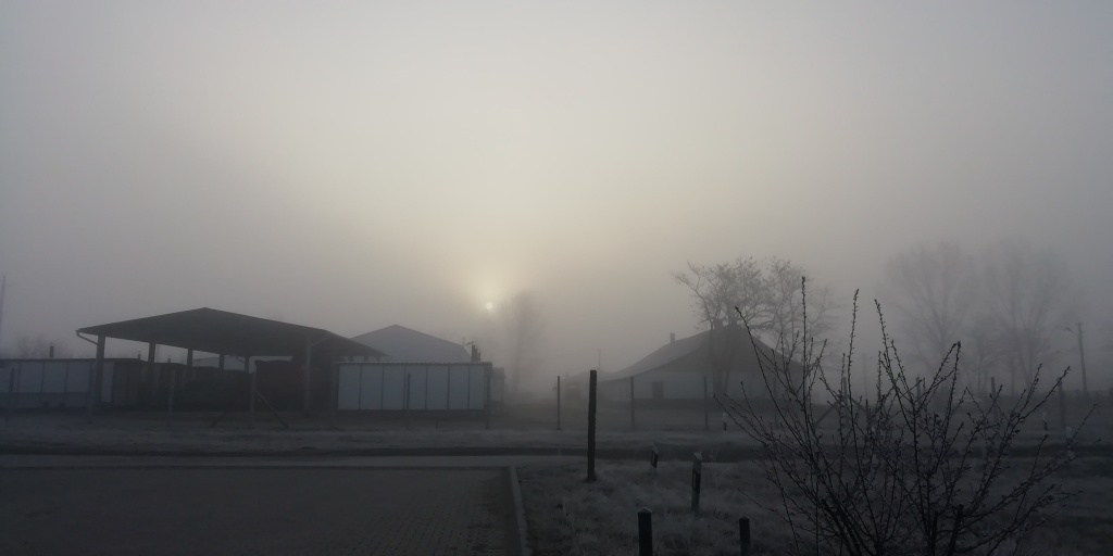 beillesztett kép