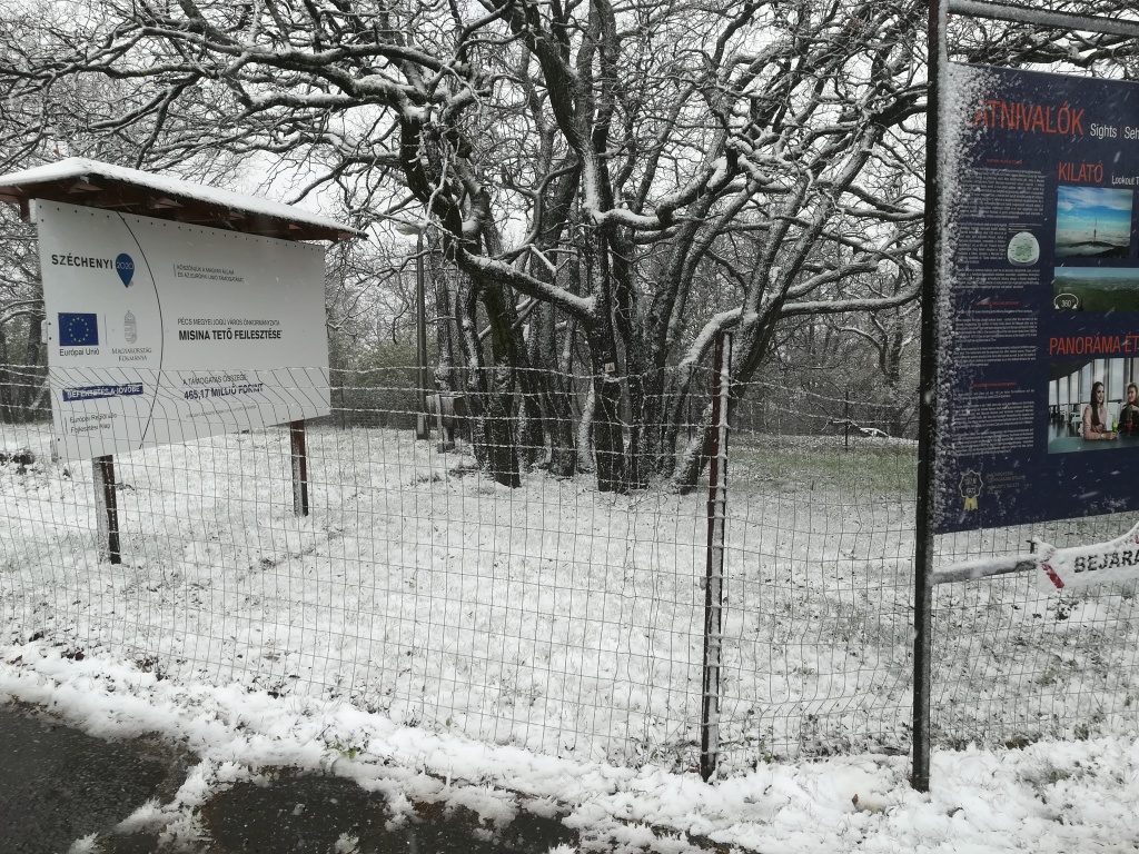 beillesztett kép