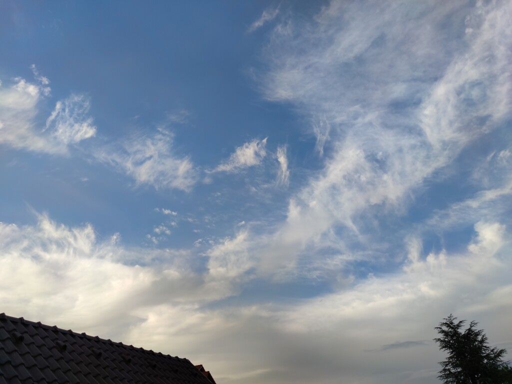 beillesztett kép