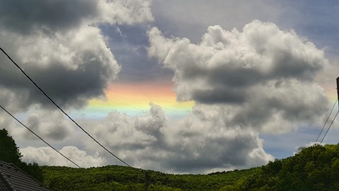 pic
