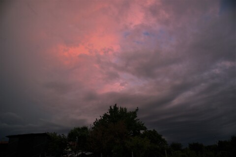 pic