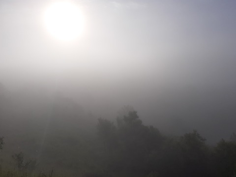 pic