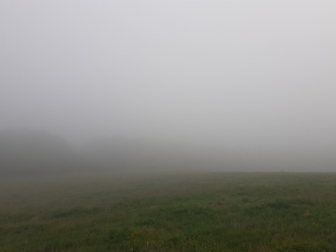 pic