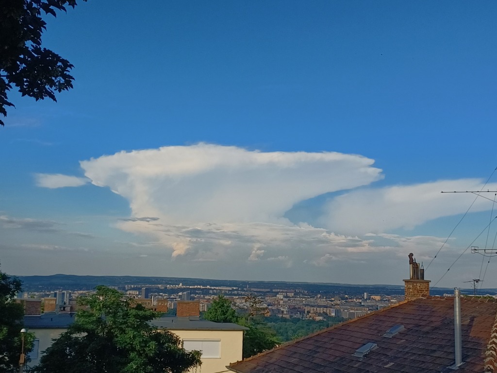 beillesztett kép