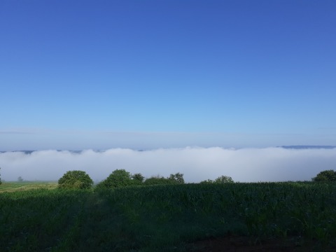 pic