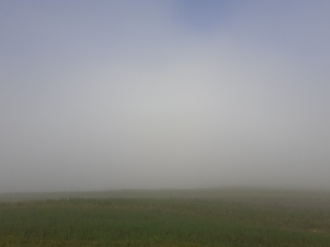 pic