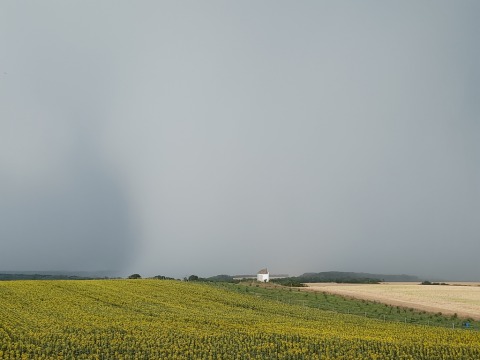 pic
