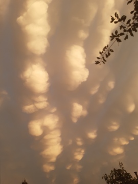 pic