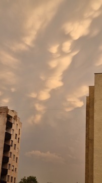 pic