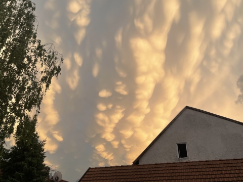 pic