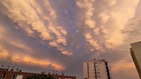 pic