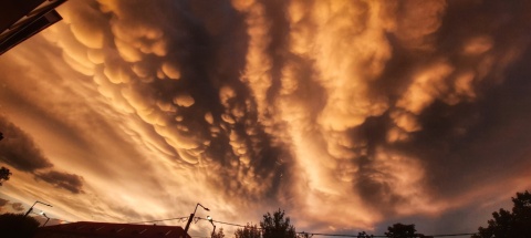 pic