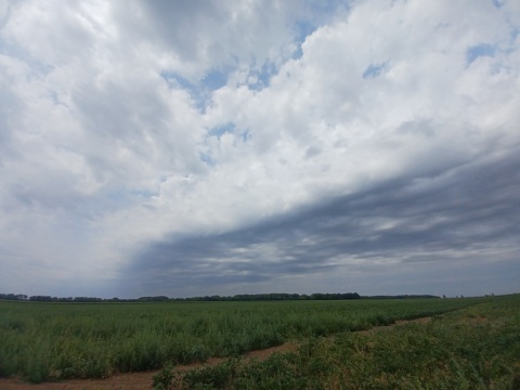 pic