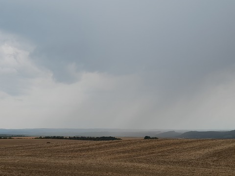pic