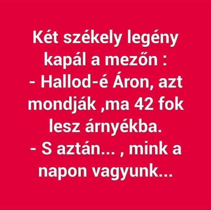 beillesztett kép