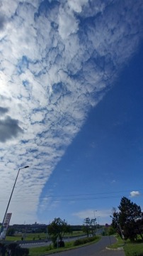 pic