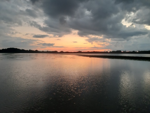 pic