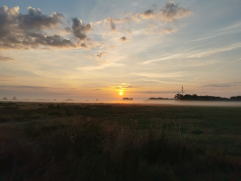 pic