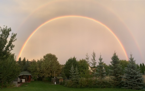 pic