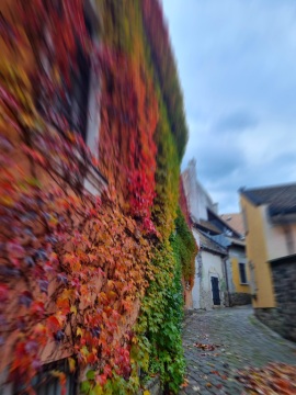 pic