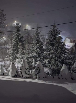 pic
