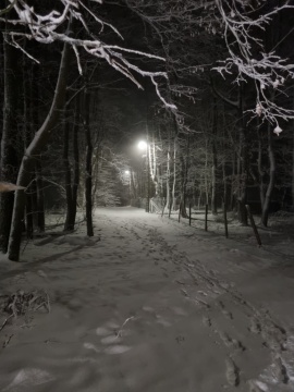 pic