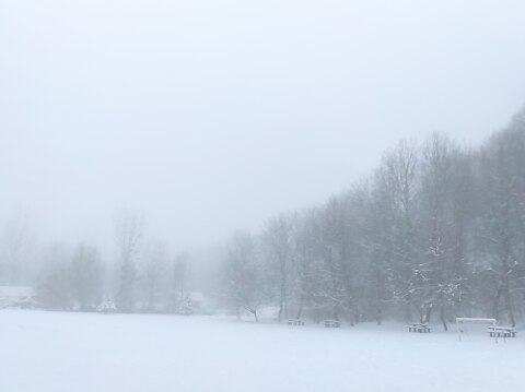 pic