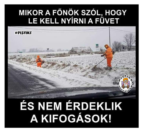 beillesztett kép